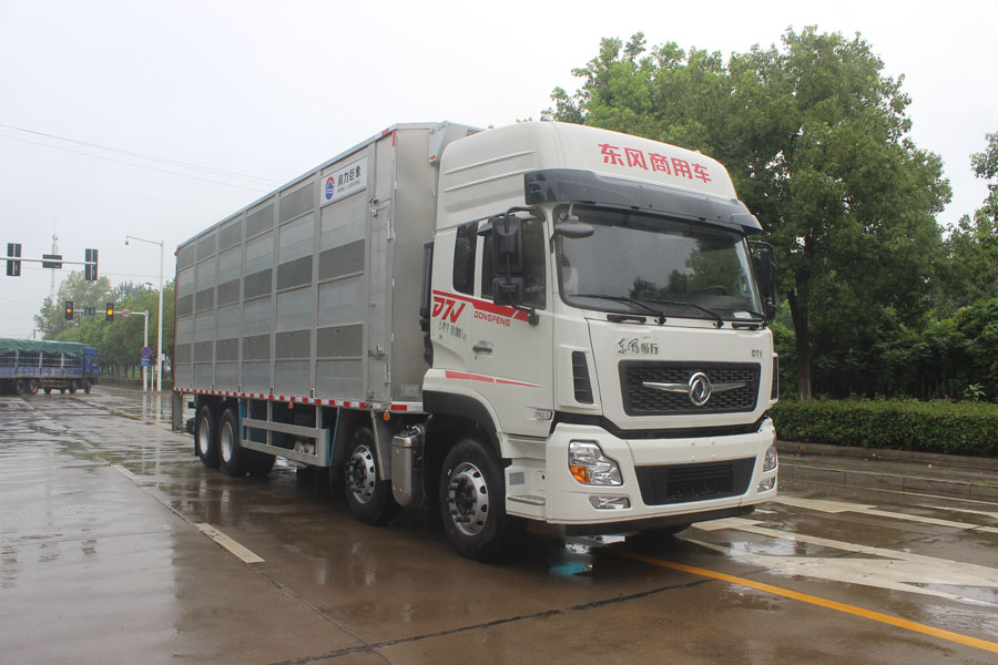 潤(rùn)知星牌SCS5310CCQDFV6型畜禽運(yùn)輸車